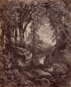 Solitude, 1865 by John Moran