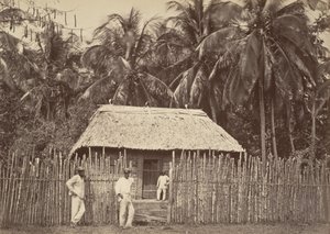 Tropical Scenery, Native Hut, Turbo, 1871