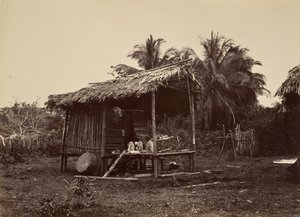 Tropical Scenery, Native Hut, Turbo