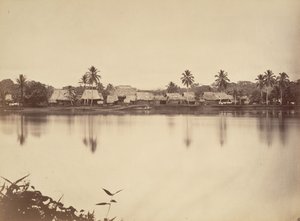 Tropical Scenery, Santa Maria del Real, Darien
