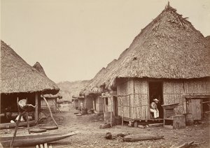 Tropical Scenery, Street, Chipigana