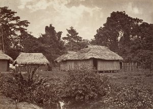 Tropical Scenery, Turbo Village, 1871