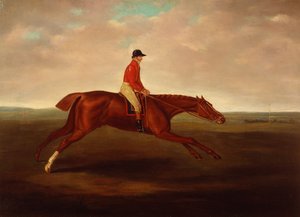 "Eclipse" ridden by J Oakley