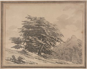 Delineations of the General Character Ramifications and Foliage of Forest Trees: Cedar, 1789 by John Robert Cozens