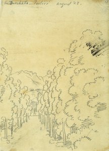 Woodland, from an Album of Tracings by John Robert Cozens