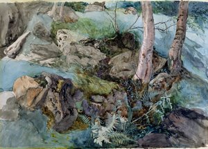 Study of Rocks and Ferns in a Wood at Crossmount, Perthshire, 1843