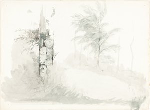 Tree Study