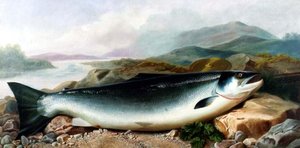 Still Life of a Salmon on a Riverbank in a Mountainous Landscape