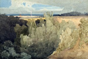 Brignall Banks on the Greta