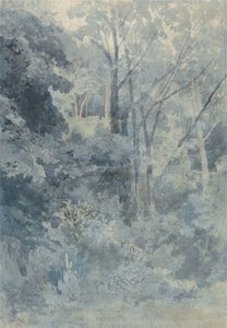 In Rokeby Park by John Sell Cotman
