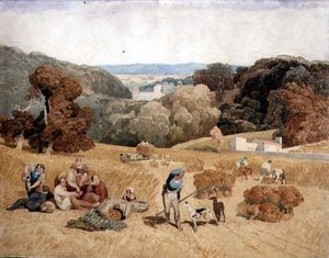 The Harvest Field