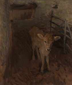 A Jersey Calf by John Singer Sargent