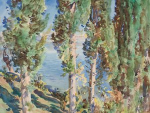 Corfu: Cypresses