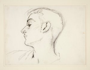 Head of a Young Man in Profile