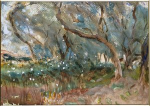 Landscape, Corfu, 1909 by John Singer Sargent