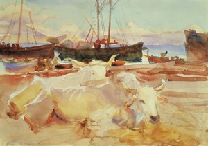 Oxen on the Beach at Baia, c.1908 by John Singer Sargent