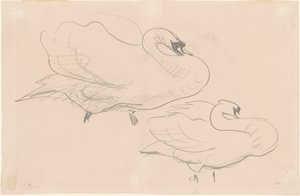 Studies of a Swan, 1880-1900 by John Singer Sargent