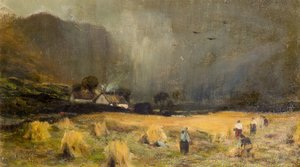 Harvest Field
