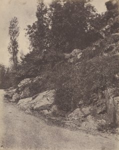 Country Landscape with Road