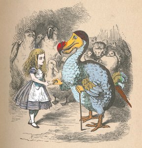 Alice and the Dodo