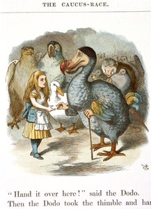 The Caucus-Race