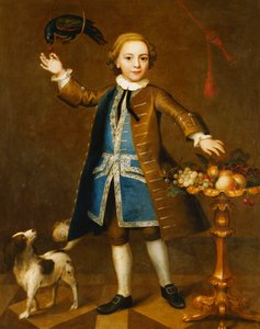 Portrait of a Boy, Full-Length, in a Brown Coat, Blue Waistcoat with Silver Braid, Holding a Cherry to a Parrot, a Spaniel to His Side, with Fruits on a Stand by John Theodore Heins