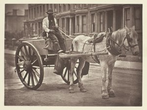 The Water-Cart