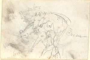 Horses