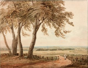 View from Polsden near Bookham in Surrey