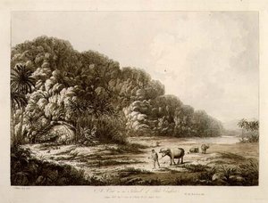 A View in the Island of Pulo Condore, from 