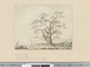 View on Sea Shore, Large Tree in Centre by John Webber