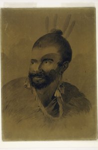 Portrait of a New Zealander