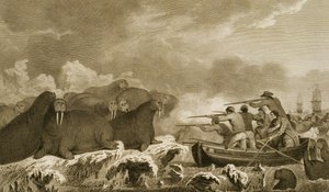 Sea Horses, figures by J. Heath, engraved by E. Scott, plate 52 from 