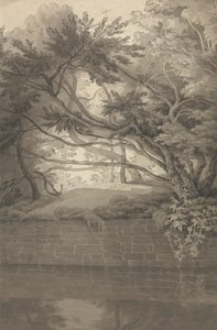 Trees Overhanging a Lake by John White Abbott