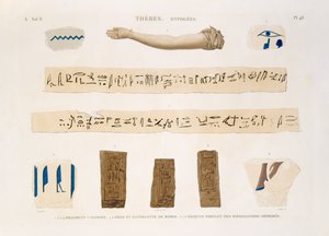 Illustrations of Hieroglyphics and the arm of a mummy from Hypogees, Thebes, plate 48 from Vol II of `Descriptions of Egypt`, engraved by Charles, 1822 by Jomard