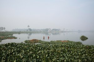 Wetland fishing in Kolkata, 2016