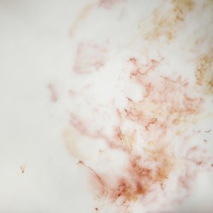 Organic Marble Flow