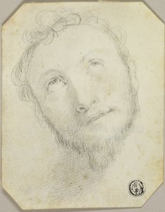 Head of Bearded Man Looking Upwards