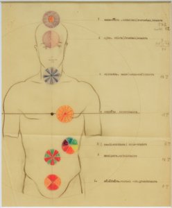 The Seven Chakras