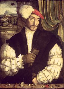 Portrait of a Man, 1533 by Jorg I Breu