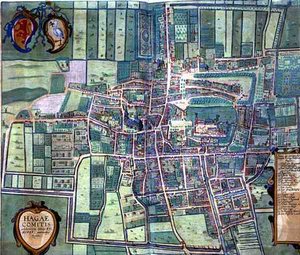 Map of the Hague, from 