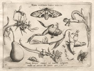 Archetypes and Studies: Death is the line that marks the end of all Part II, plate 5, 1592 by Joris Hoefnagel