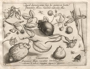 Archetypes and Studies: What Can Emerge in Keeping with Such a Cavernous Promise by Joris Hoefnagel