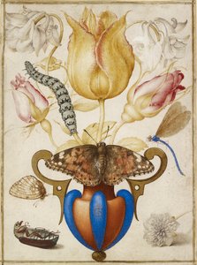 Arrangement of Flowers in a Vase, with Insects, 1594