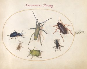 Plate 43: A Golden-Bloomed Gray Longhorn, Tansy Beetle, Cockroach, Leaf-Footed Bug, and Other Insects by Joris Hoefnagel
