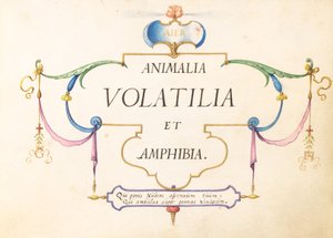 Title Page by Joris Hoefnagel