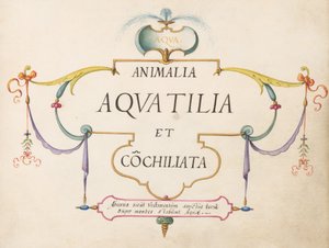 Title Page by Joris Hoefnagel