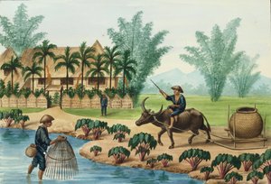 Manila and its Environs: A Scene on the Pasig River