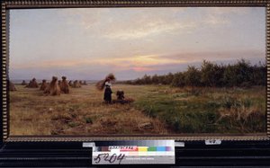 Harvest in the Evening Light