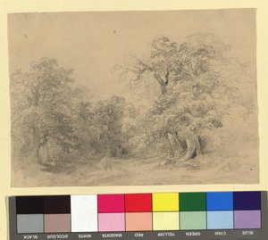 Forest Landscape by Josef Kriehuber